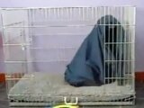 Cloth%20and%20dog.jpg