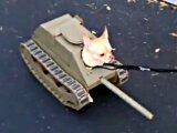 Tank%20Dog.jpg